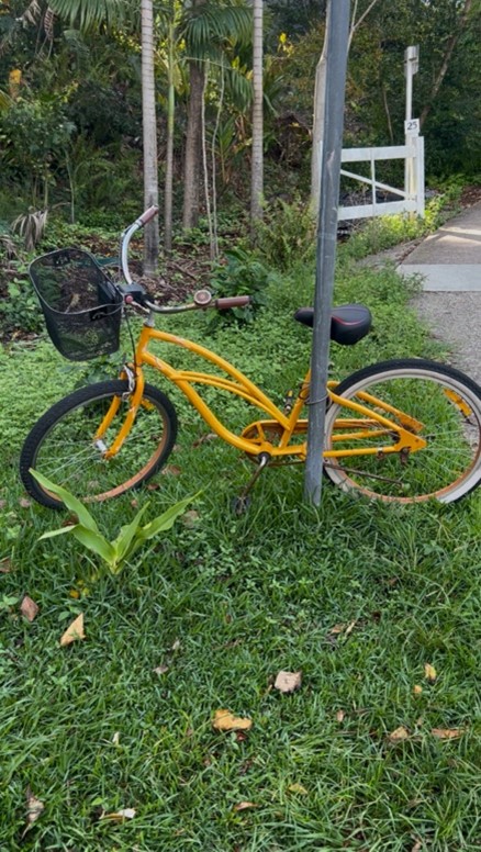 Helping Your Teen Practise Mindfulness